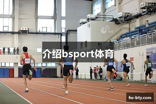 介绍bsport体育